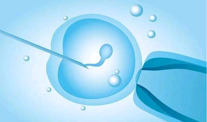 温州二胎供卵试管 温州做试管婴儿多少钱 ‘根据四维怎么看男女’